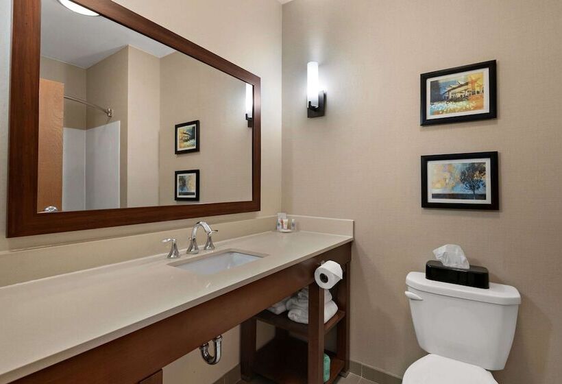 Люкс Адаптированный для Инвалидов, Comfort Suites Hummelstown  Hershey
