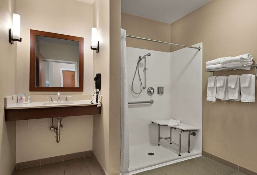Люкс Адаптированный для Инвалидов, Comfort Suites Hummelstown  Hershey