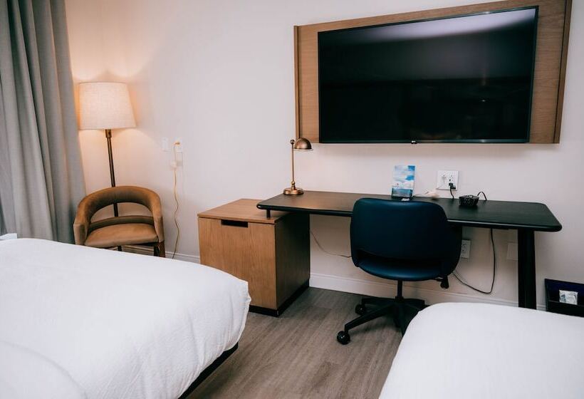 带2个双人床的标准工作室, Fairfield Inn & Suites By Marriott Lexington Georgetown/college Inn