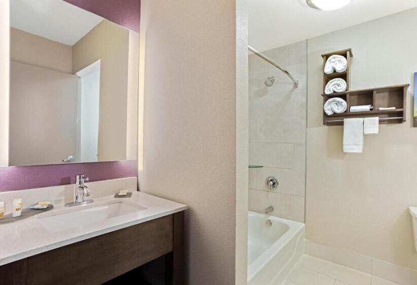 Номер Стандарт Кровать Кинг Адаптированный для Инвалидов, La Quinta By Wyndham Hopkinsville