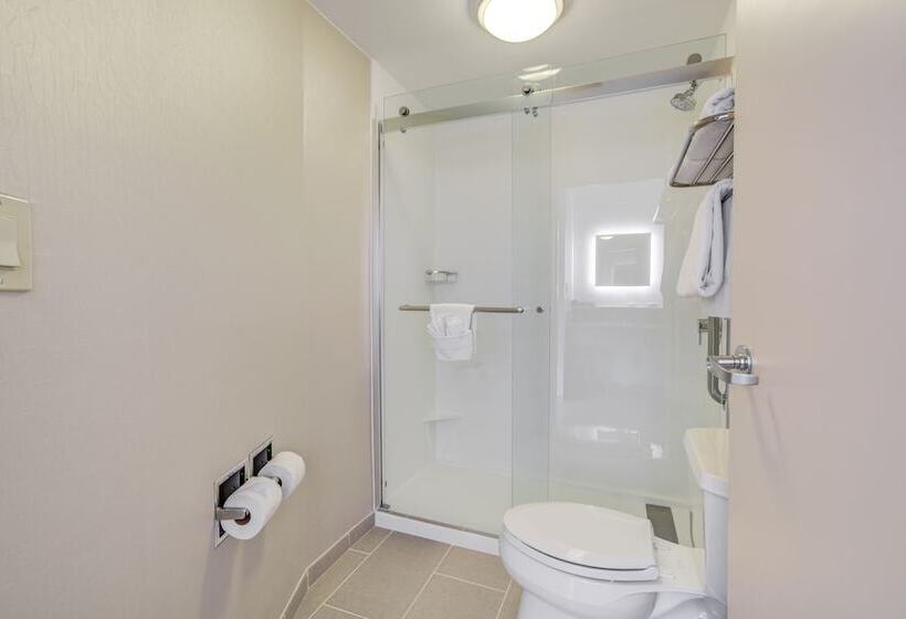 Люкс, Springhill Suites Gainesville