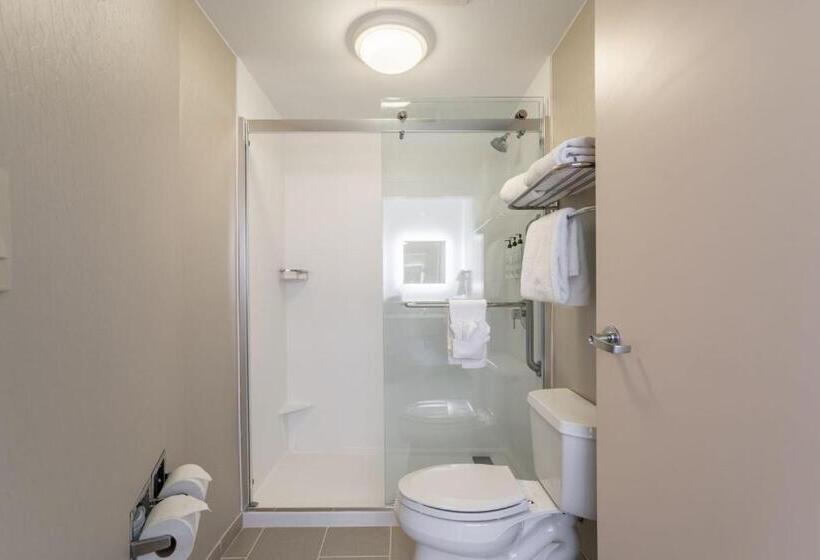 Люкс Кровать Кинг, Springhill Suites Gainesville
