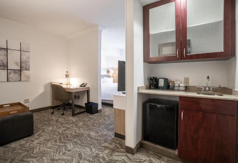 Люкс Кровать Кинг, Springhill Suites Gainesville