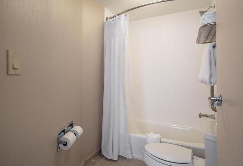Люкс, Springhill Suites Gainesville