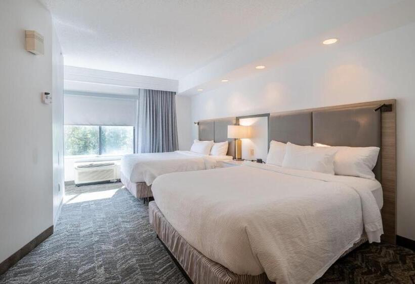 Люкс, Springhill Suites Gainesville