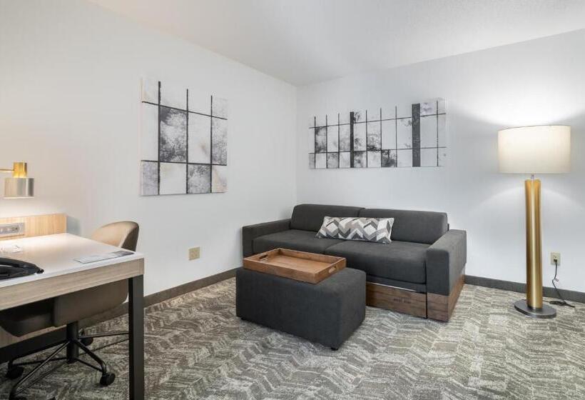 Люкс, Springhill Suites Gainesville