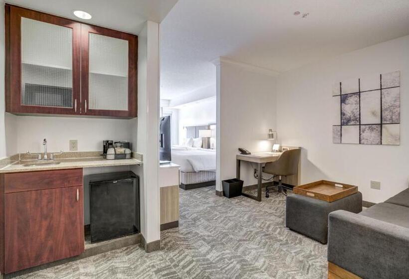 Люкс, Springhill Suites Gainesville