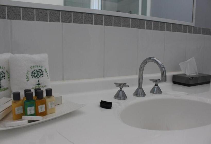 스탠다드 룸, Karri Forest Motel