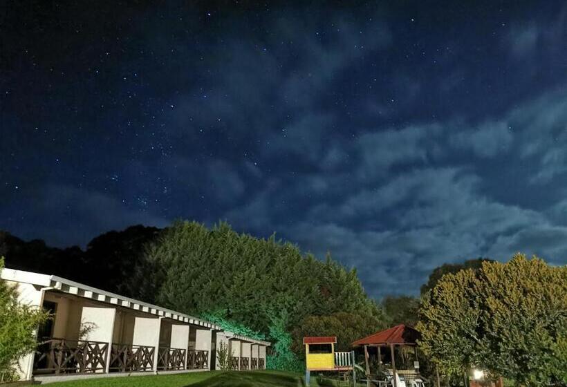 스탠다드 룸, Karri Forest Motel