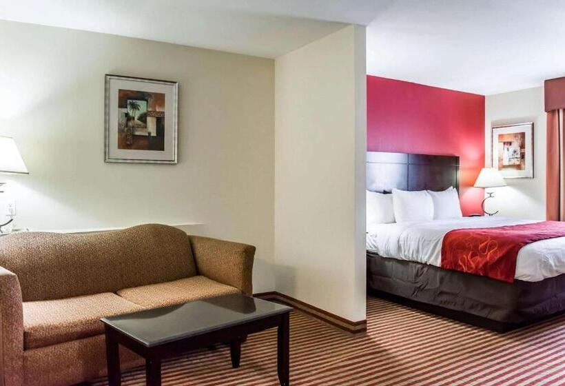 스위트 킹사이즈 침대, Comfort Suites Palm Bay  Melbourne