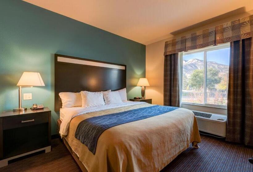 스위트 킹사이즈 침대, Grand Vista Hotel Parachute