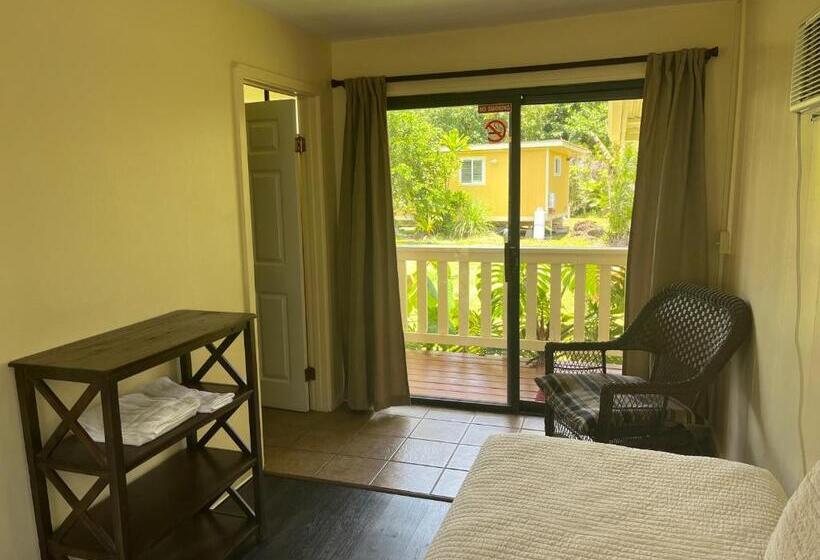 Номер Стандарт, Aaron’s Cottage