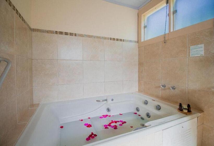 Номер Deluxe с Гидромассажем, Pousada Villa Allegra