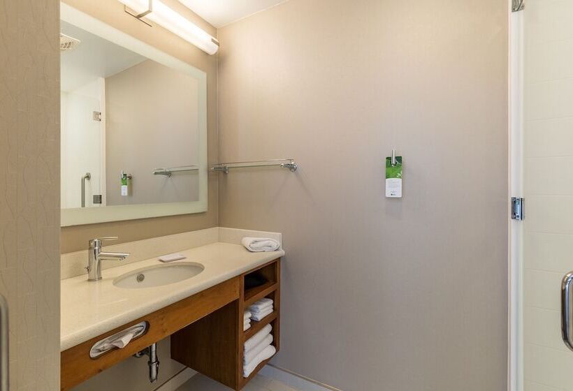Люкс Адаптированный для Инвалидов, Springhill Suites By Marriott Houston Rosenberg