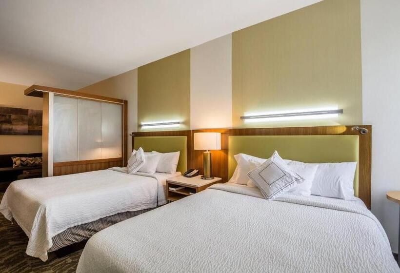Студия Стандарт, Springhill Suites By Marriott Houston Rosenberg