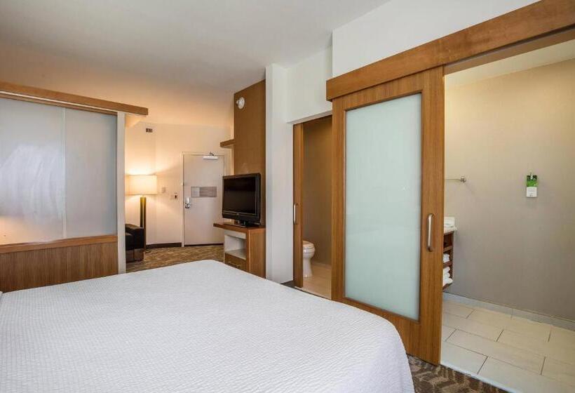 Студио Стандарт Кровать Кинг, Springhill Suites By Marriott Houston Rosenberg