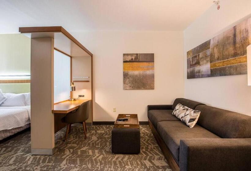 Люкс Адаптированный для Инвалидов, Springhill Suites By Marriott Houston Rosenberg