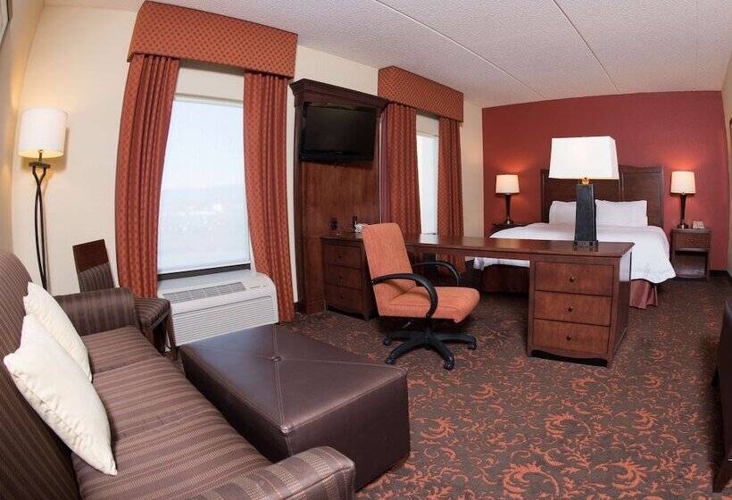 Студия Стандарт, Hampton Inn & Suites Woodstock, Va