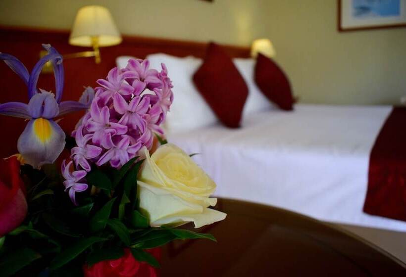 اتاق استاندارد, Golden Carthage Hotel Tunis