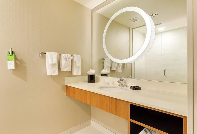 スタンダードスタジオ, Springhill Suites By Marriott Mcallen Convention Center