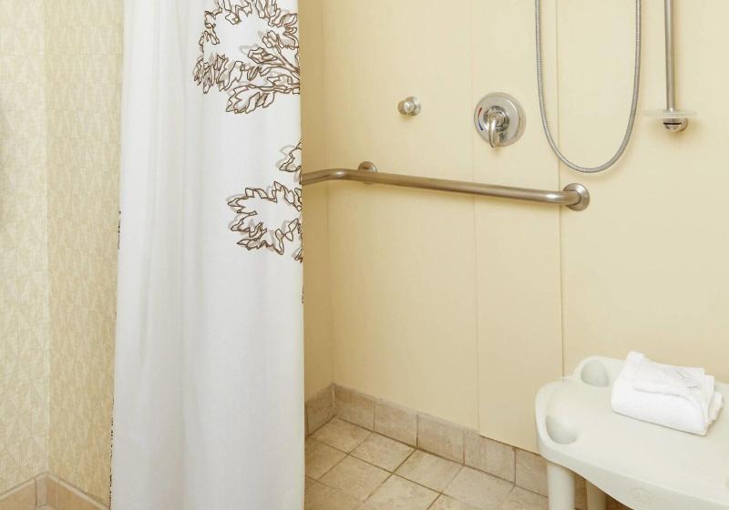 带大床的套房, Residence Inn By Marriott San Antonio Six Flags At The Rim