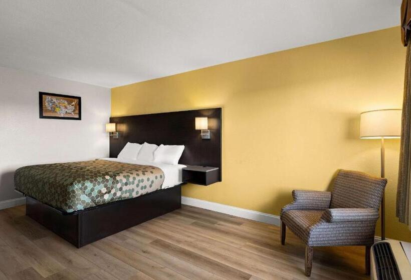 带大床的标准间, Econo Lodge White Pine Morristown I81 & I40 Split