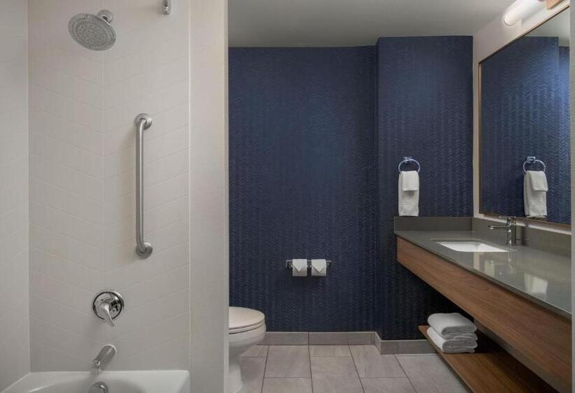 Стандартный Номер Кровать Кинг, Fairfield Inn & Suites Roanoke Hollins/i81
