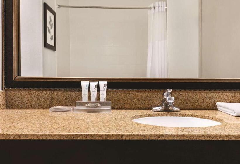 带大床的复式套间, Country Inn & Suites By Radisson, Georgetown, Ky