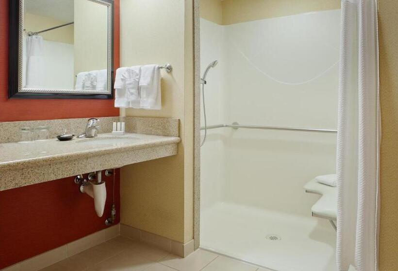 Номер Deluxe Адаптированный для Инвалидов, Courtyard Richland Columbia Point