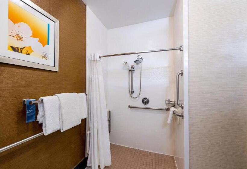 Стандартный Номер Кровать Кинг, Fairfield Inn Battle Creek