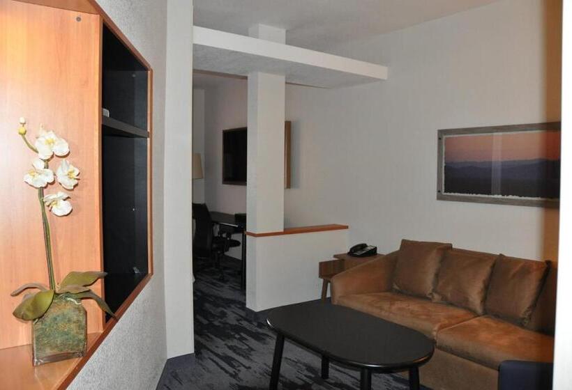 스탠다드 스튜디오 킹침대, Fairfield Inn & Suites Ukiah Mendocino County