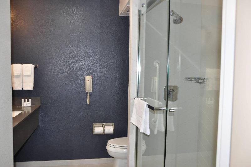 스탠다드 룸 킹사이즈 침대, Fairfield Inn & Suites Ukiah Mendocino County
