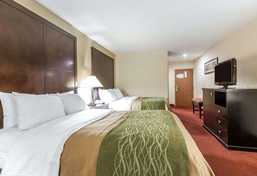 Номер Стандарт 2 Двуспальные Кровати, Quality Inn & Suites