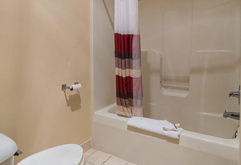 Номер Deluxe, Red Roof Inn & Suites Lake Orion/ Auburn Hills