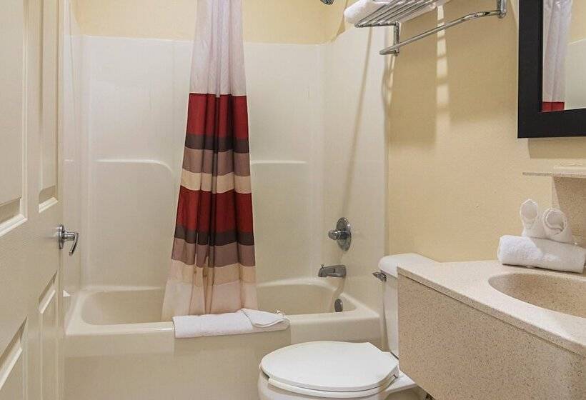 Номер Superior, Red Roof Inn & Suites Lake Orion/ Auburn Hills