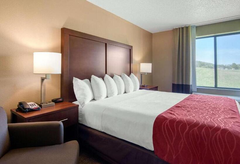 Стандартный Номер Кровать Кинг, Comfort Inn & Suites Cooperstown   Milford