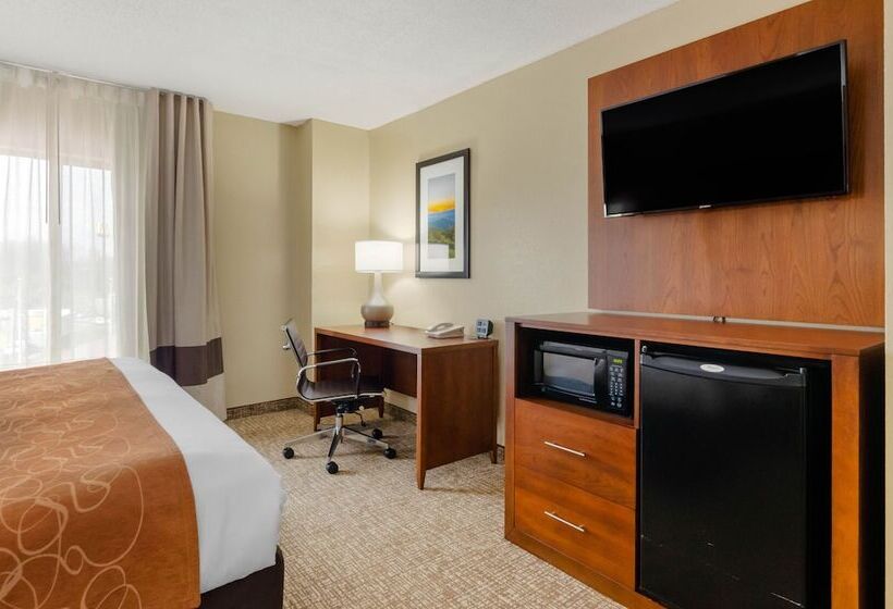장애인을 위한 스위트, Comfort Suites Abingdon I81