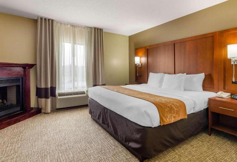 스위트 킹사이즈 침대, Comfort Suites Abingdon I81