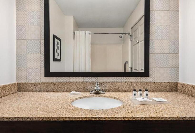 Номер Стандарт Кровать Кинг Адаптированный для Инвалидов, Country Inn & Suites By Radisson, Green Bay East, Wi