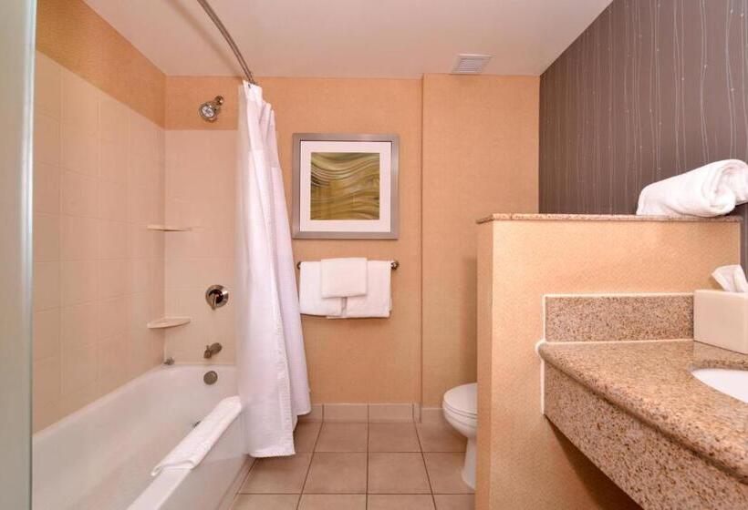 带大床的套房, Courtyard Pittsburgh Monroeville