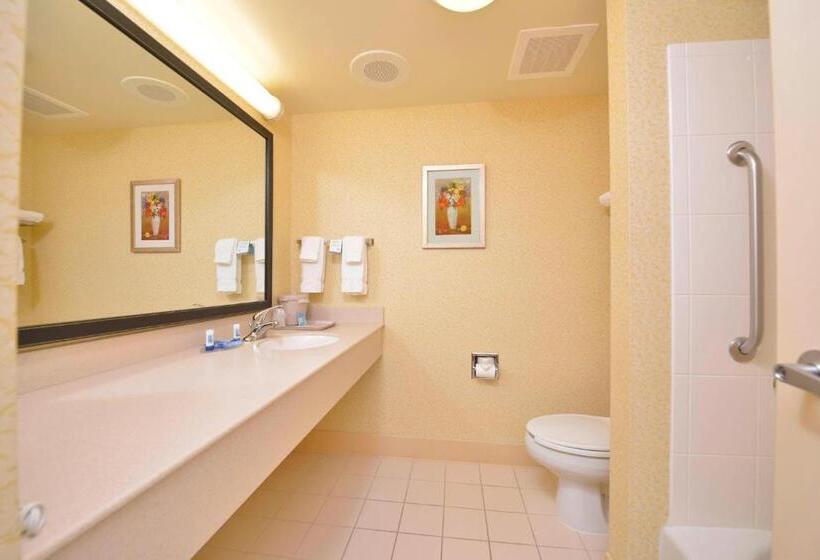Студио Стандарт Кровать Кинг, Fairfield Inn And Suites By Marriott Williamsport