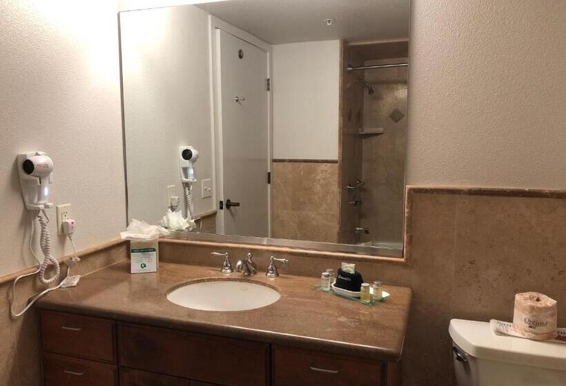 Номер Стандарт, Little Sur Inn
