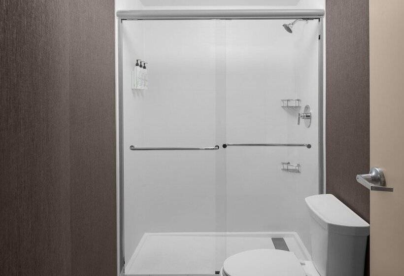 스위트, Springhill Suites By Marriott Grand Rapids Airport Southeast