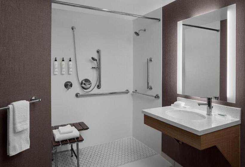 스위트 킹사이즈 침대, Springhill Suites By Marriott Grand Rapids Airport Southeast