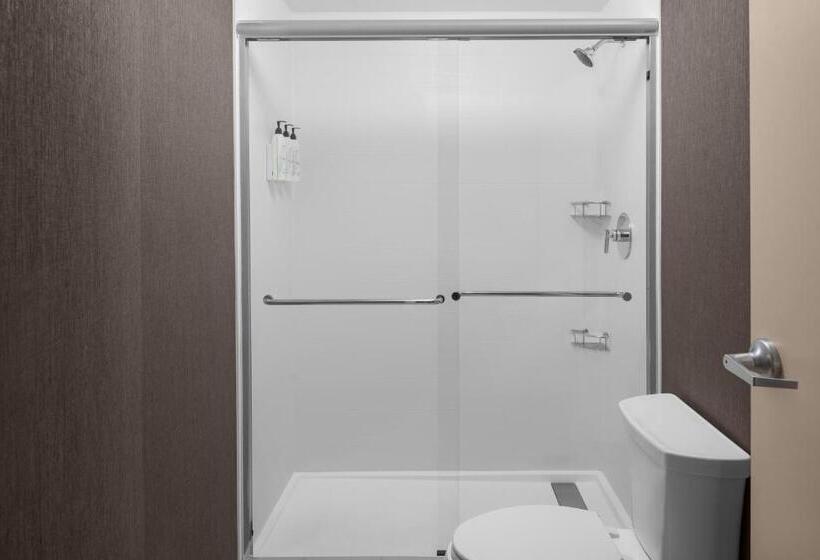 스위트 킹사이즈 침대, Springhill Suites By Marriott Grand Rapids Airport Southeast