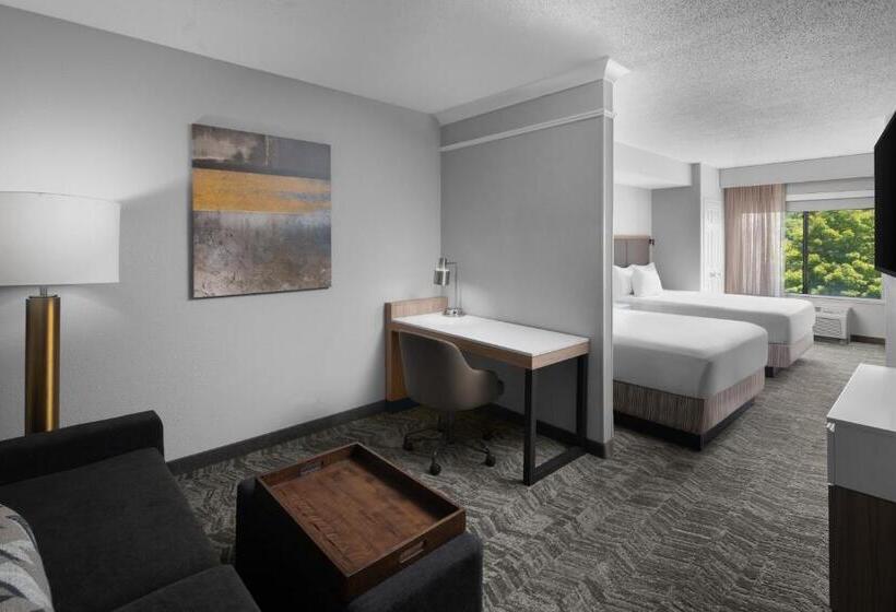 스위트, Springhill Suites By Marriott Grand Rapids Airport Southeast