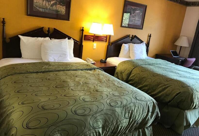 Люкс Кровать Кинг, Clairmont Inn & Suites   Warren
