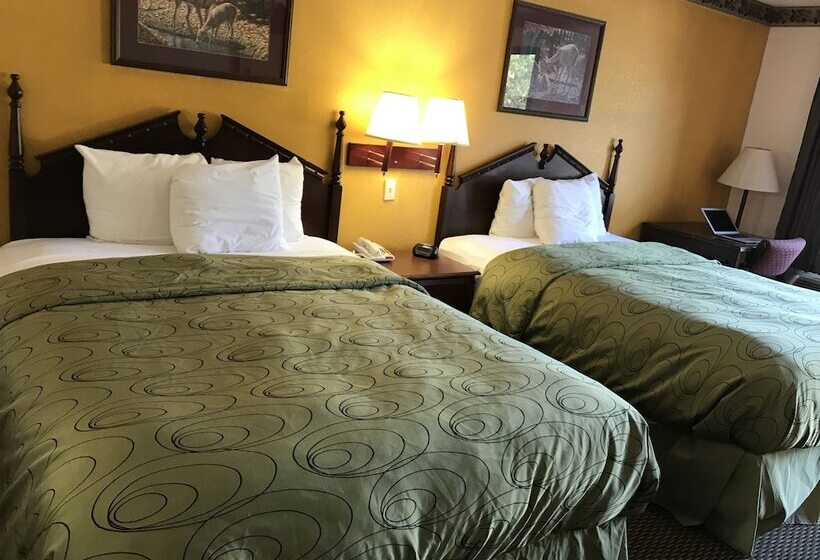 Номер Стандарт, Clairmont Inn & Suites   Warren
