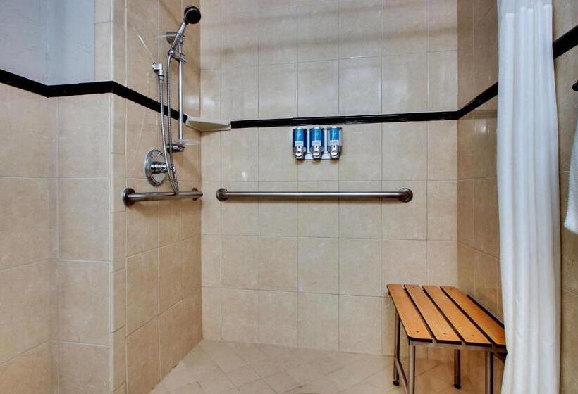 Chambre Deluxe Adaptée aux Personnes à Mobilité Réduite, Drury Plaza Hotel San Antonio Riverwalk