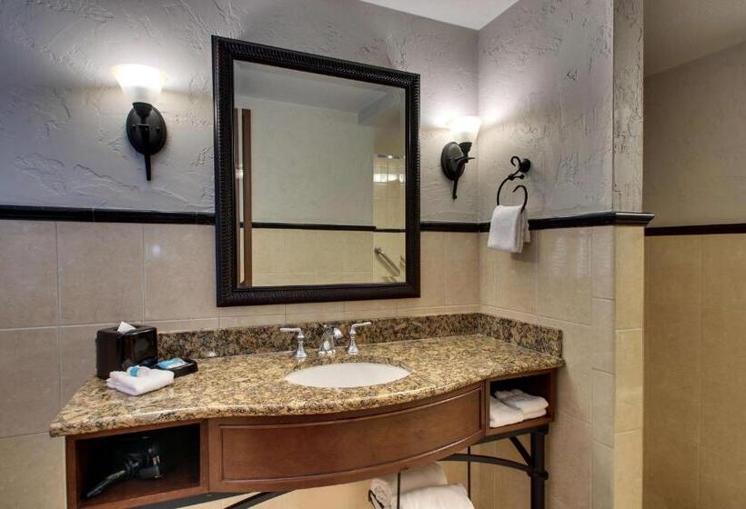 Chambre Supérieure, Drury Plaza Hotel San Antonio Riverwalk